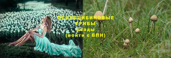 круглые Алзамай