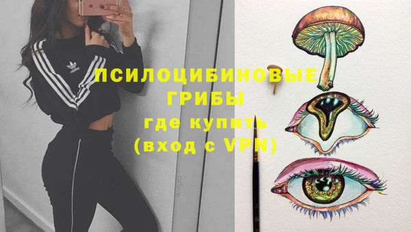 молекула духа Алексин