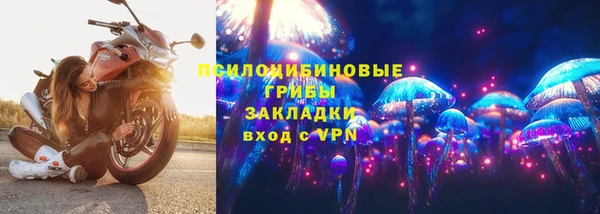 молекула духа Алексин